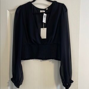 Aritzia Black Sheer Long-Sleeve V-Neck Smocked-Waist Blouse